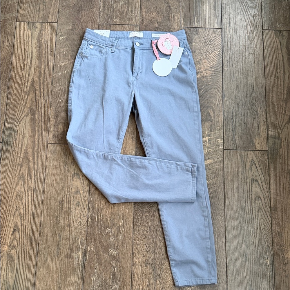Curve Appeal Slate Blue Minimalist Jegging Jeans
